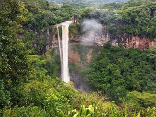 Black River Gorges National Park