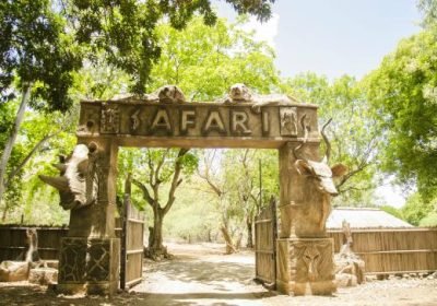 Casela Nature Parks: Safari, Ziplines and Animal Encounters