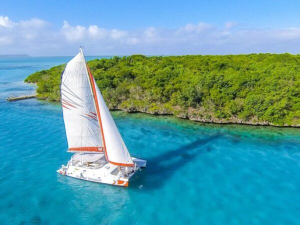 Catamaran Cruise