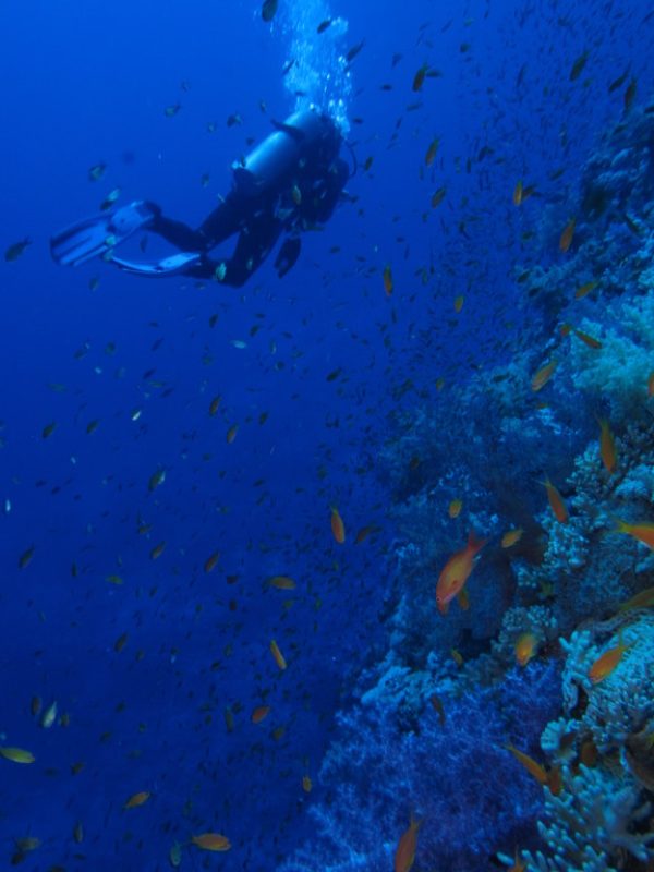 Scuba Diving – Ocean Spirit