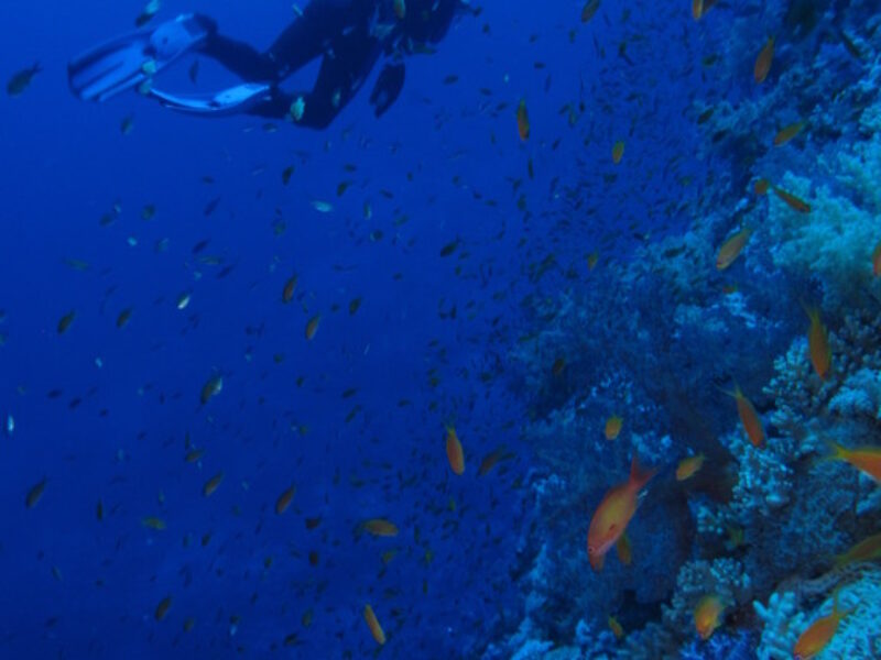 Scuba Diving – Ocean Spirit