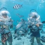 13609 undersea walk ile aux cerfs 1 2