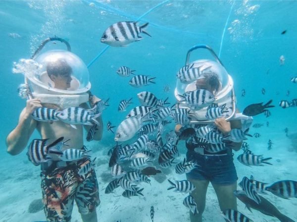 Undersea Walk – Ile aux Cerfs