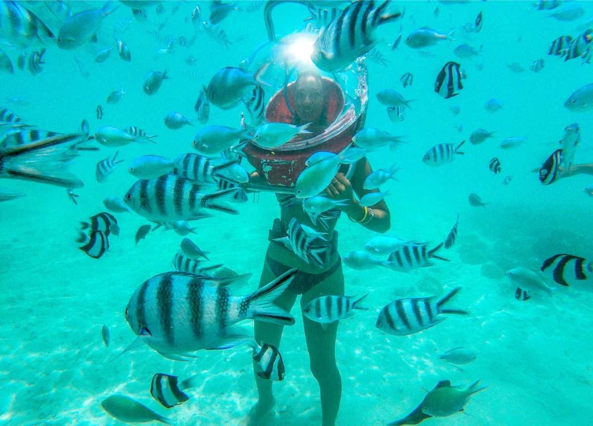 Undersea Walk – Ile aux Cerfs photo 3