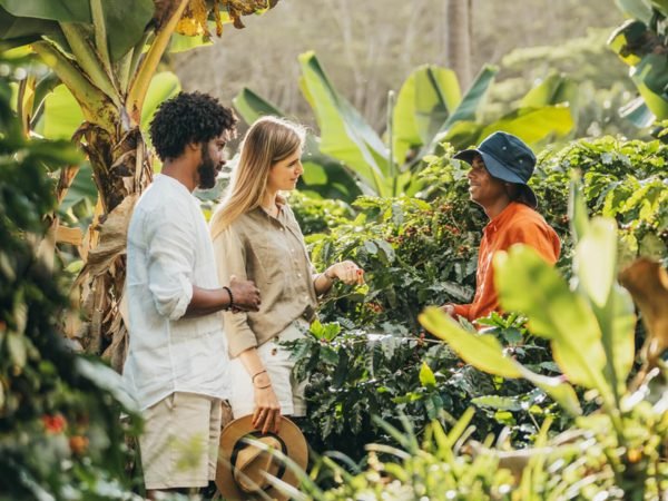 Coffee Plantation Tour – Chamarel